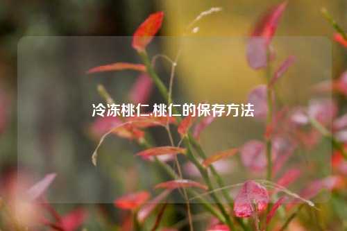 冷冻桃仁,桃仁的保存方法