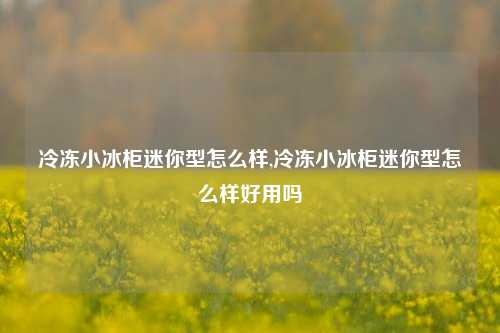 冷冻小冰柜迷你型怎么样,冷冻小冰柜迷你型怎么样好用吗