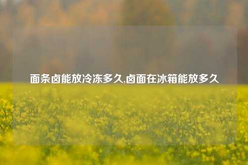 面条卤能放冷冻多久,卤面在冰箱能放多久