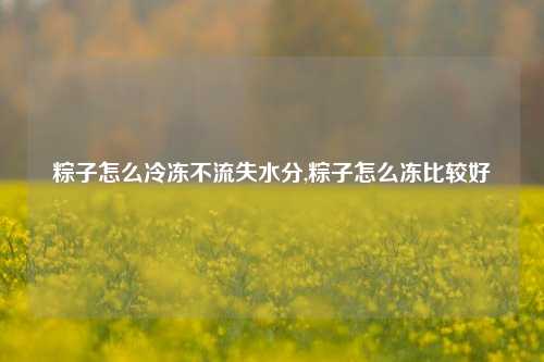 粽子怎么冷冻不流失水分,粽子怎么冻比较好