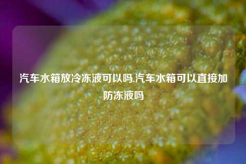 汽车水箱放冷冻液可以吗,汽车水箱可以直接加防冻液吗