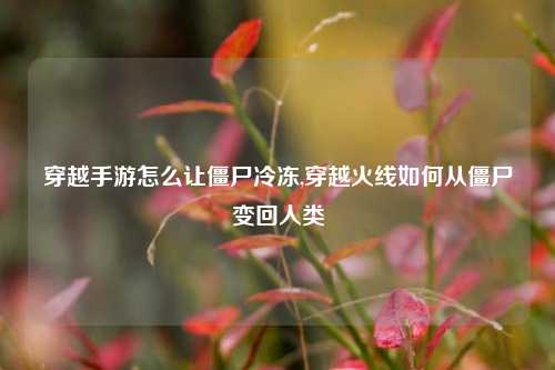 穿越手游怎么让僵尸冷冻,穿越火线如何从僵尸变回人类