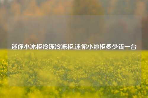 迷你小冰柜冷冻冷冻柜,迷你小冰柜多少钱一台