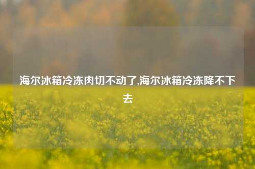 海尔冰箱冷冻肉切不动了,海尔冰箱冷冻降不下去