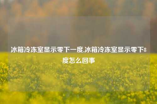 冰箱冷冻室显示零下一度,冰箱冷冻室显示零下8度怎么回事