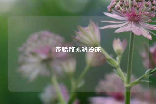 花蛤放冰箱冷冻