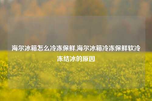 海尔冰箱怎么冷冻保鲜,海尔冰箱冷冻保鲜软冷冻结冰的原因