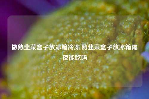 做熟韭菜盒子放冰箱冷冻,熟韭菜盒子放冰箱隔夜能吃吗