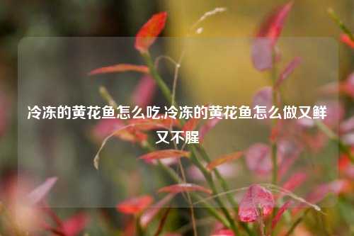 冷冻的黄花鱼怎么吃,冷冻的黄花鱼怎么做又鲜又不腥