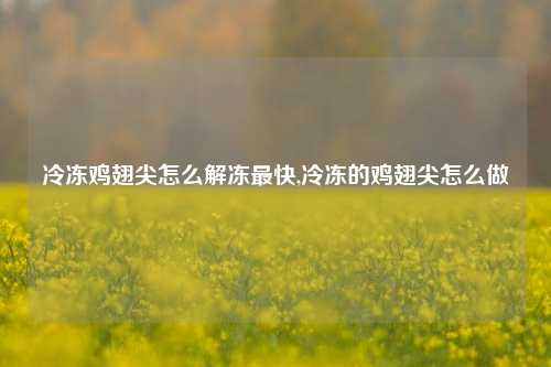 冷冻鸡翅尖怎么解冻最快,冷冻的鸡翅尖怎么做