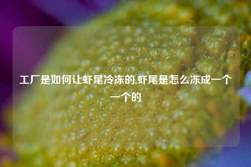 工厂是如何让虾尾冷冻的,虾尾是怎么冻成一个一个的