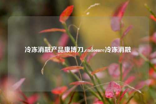 冷冻消融产品康博刀,endocare冷冻消融