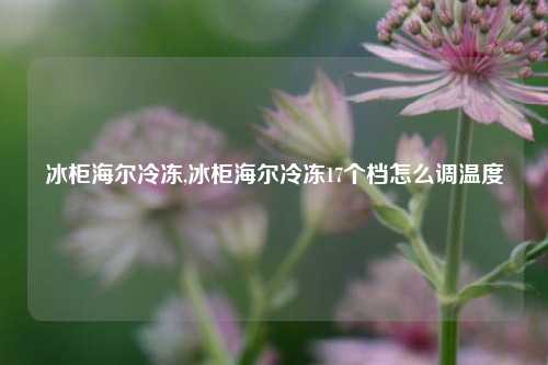 冰柜海尔冷冻,冰柜海尔冷冻17个档怎么调温度