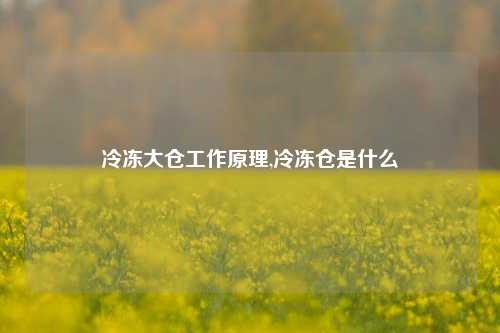 冷冻大仓工作原理,冷冻仓是什么