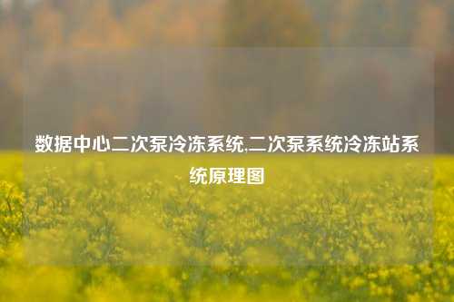 数据中心二次泵冷冻系统,二次泵系统冷冻站系统原理图