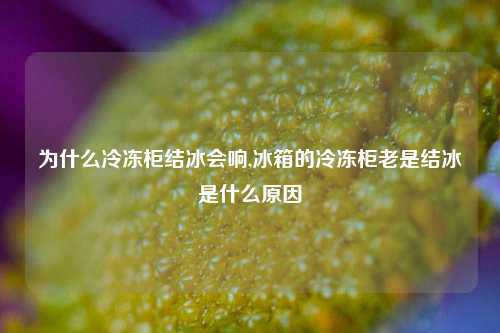 为什么冷冻柜结冰会响,冰箱的冷冻柜老是结冰是什么原因