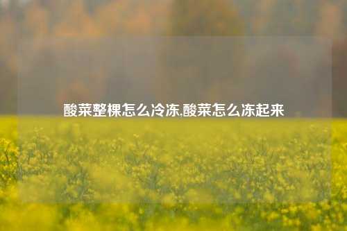 酸菜整棵怎么冷冻,酸菜怎么冻起来