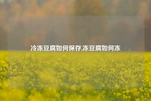 冷冻豆腐如何保存,冻豆腐如何冻