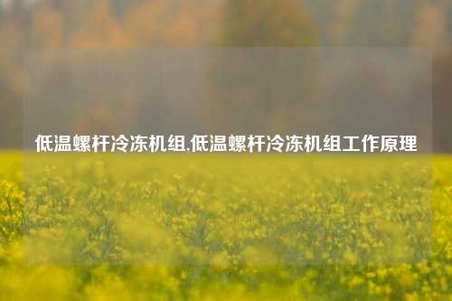 低温螺杆冷冻机组,低温螺杆冷冻机组工作原理