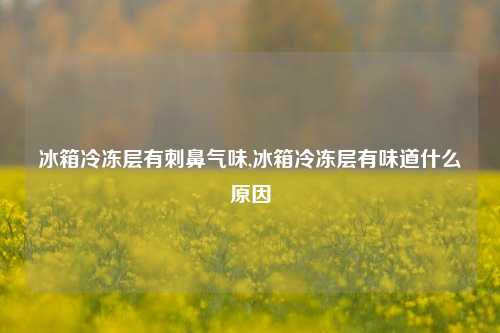 冰箱冷冻层有刺鼻气味,冰箱冷冻层有味道什么原因