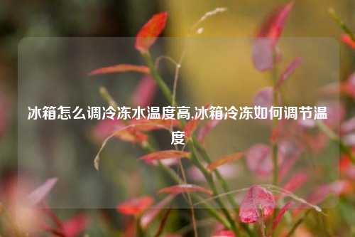 冰箱怎么调冷冻水温度高,冰箱冷冻如何调节温度