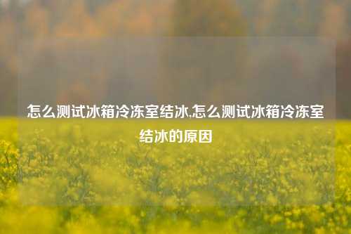 怎么测试冰箱冷冻室结冰,怎么测试冰箱冷冻室结冰的原因