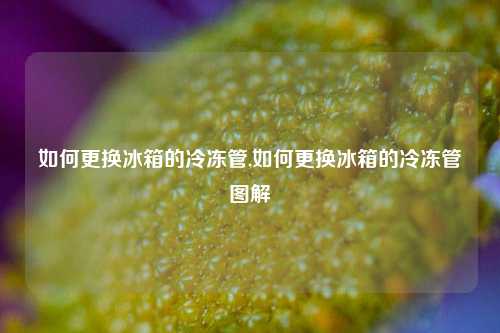 如何更换冰箱的冷冻管,如何更换冰箱的冷冻管图解