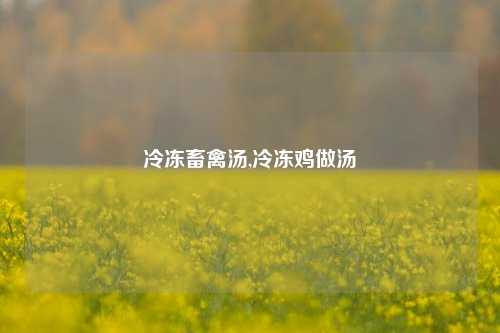 冷冻畜禽汤,冷冻鸡做汤