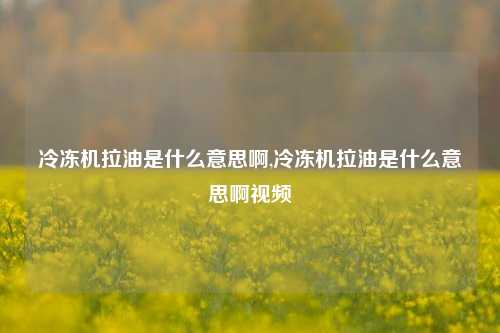 冷冻机拉油是什么意思啊,冷冻机拉油是什么意思啊视频