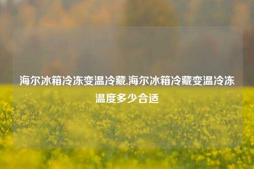 海尔冰箱冷冻变温冷藏,海尔冰箱冷藏变温冷冻温度多少合适