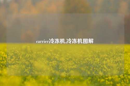 carrier冷冻机,冷冻机图解