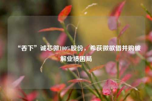 “吞下”诚芯微100%股份，希荻微欲借并购破解业绩困局