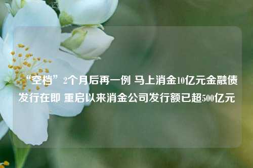 “空档”2个月后再一例 马上消金10亿元金融债发行在即 重启以来消金公司发行额已超500亿元