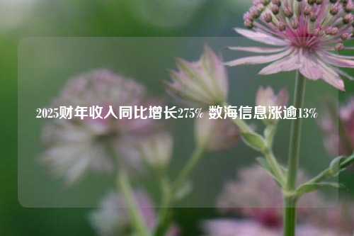 2025财年收入同比增长275% 数海信息涨逾13%