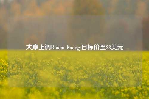 大摩上调Bloom Energy目标价至28美元