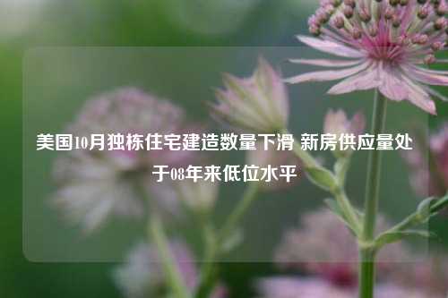 美国10月独栋住宅建造数量下滑 新房供应量处于08年来低位水平