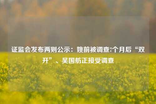 证监会发布两则公示：姚前被调查7个月后“双开”、吴国舫正接受调查