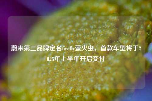 蔚来第三品牌定名firefly萤火虫，首款车型将于2025年上半年开启交付