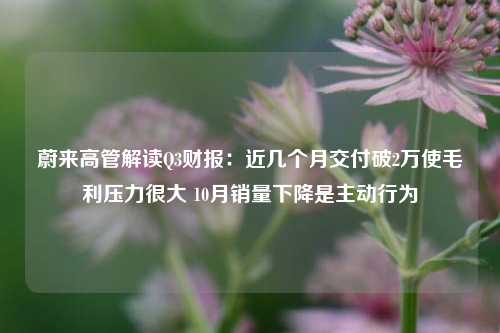 蔚来高管解读Q3财报：近几个月交付破2万使毛利压力很大 10月销量下降是主动行为