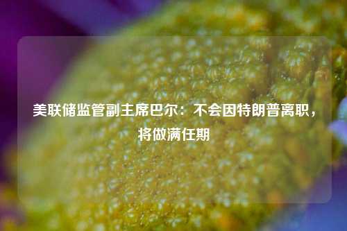 美联储监管副主席巴尔：不会因特朗普离职，将做满任期