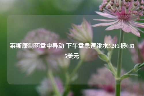 莱斯康制药盘中异动 下午盘急速跳水5.24%报0.835美元