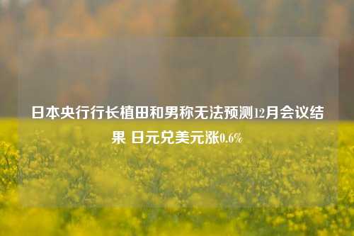 日本央行行长植田和男称无法预测12月会议结果 日元兑美元涨0.6%