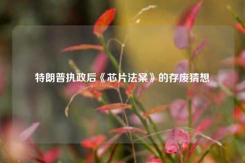 特朗普执政后《芯片法案》的存废猜想