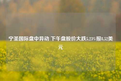 宁圣国际盘中异动 下午盘股价大跌5.23%报8.52美元