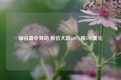 灿谷盘中异动 股价大跌5.07%报3.93美元