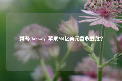 剥离Chrome，苹果200亿美元营收要危？