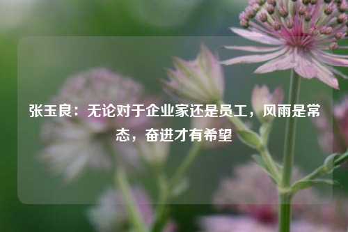 张玉良：无论对于企业家还是员工，风雨是常态，奋进才有希望