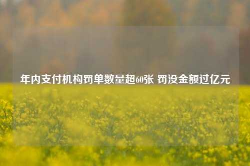 年内支付机构罚单数量超60张 罚没金额过亿元