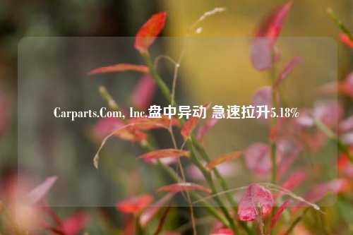 Carparts.Com, Inc.盘中异动 急速拉升5.18%