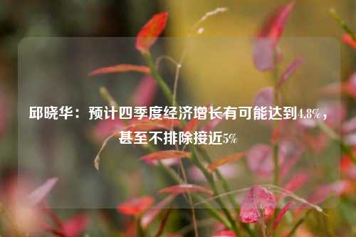 邱晓华：预计四季度经济增长有可能达到4.8%，甚至不排除接近5%